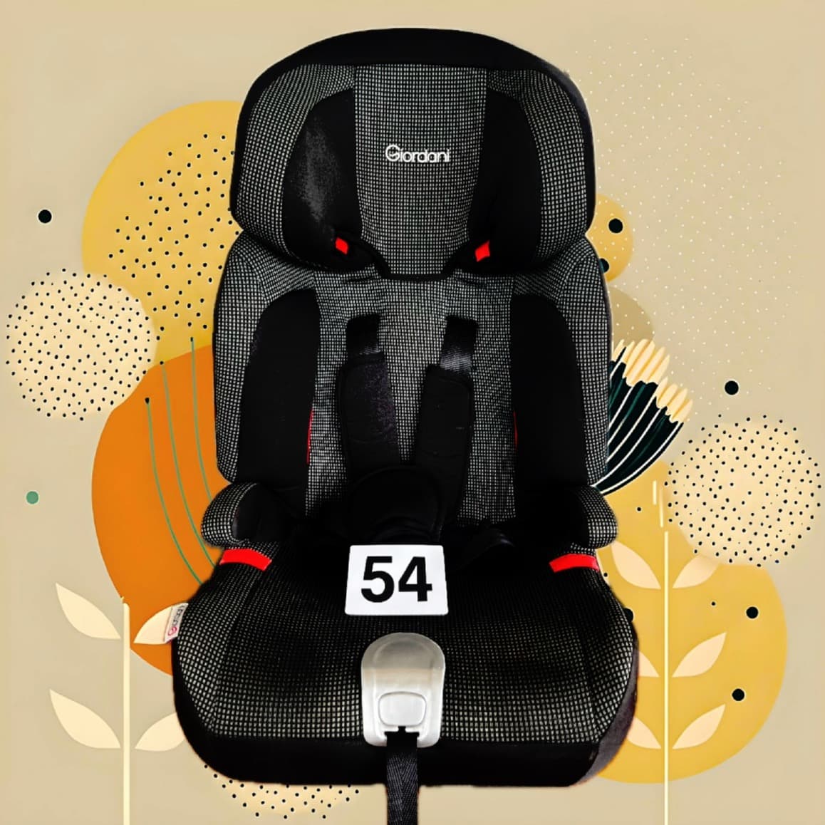 Siège auto N54 (9-36 kg)
