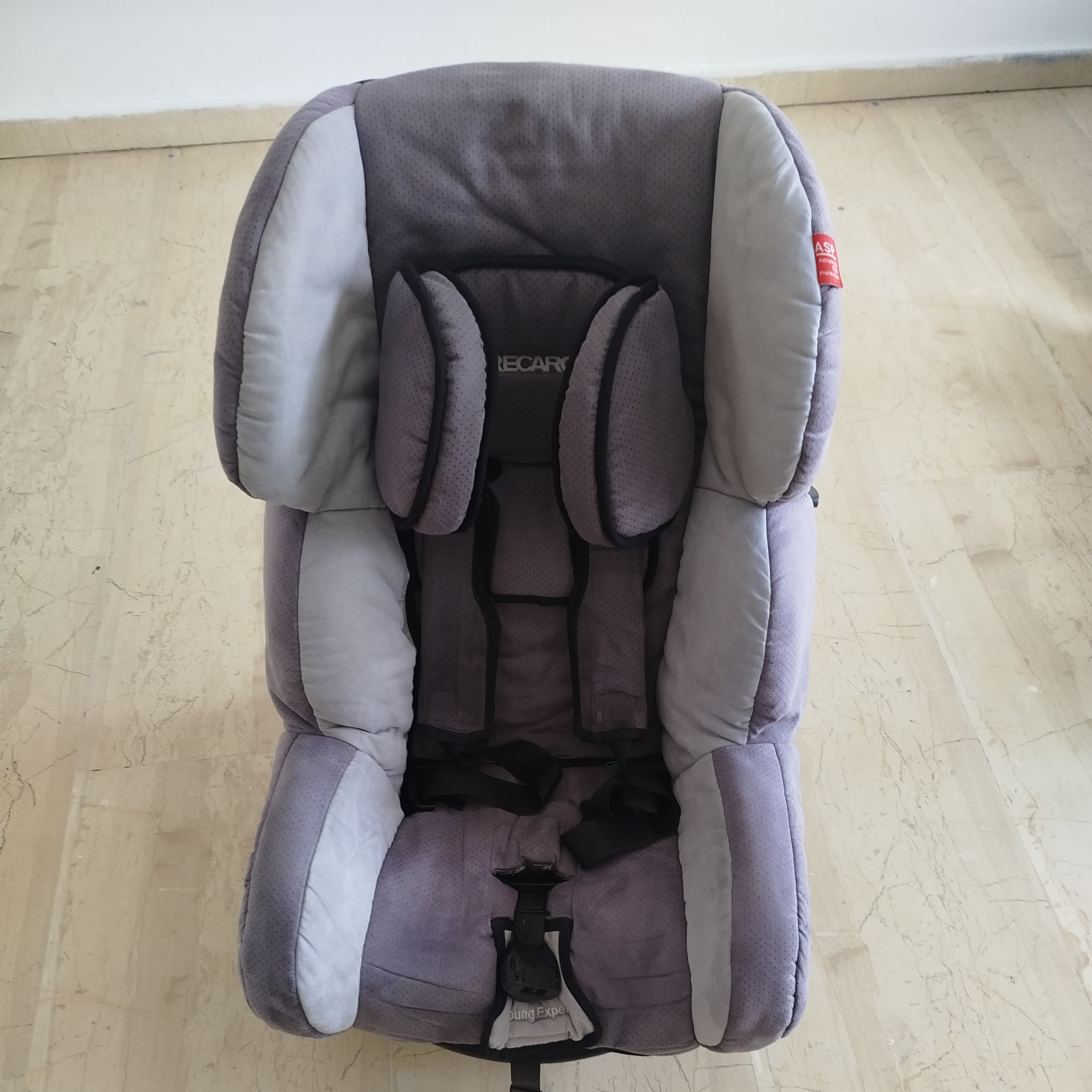 Ombra giovane esperta Recaro - 3