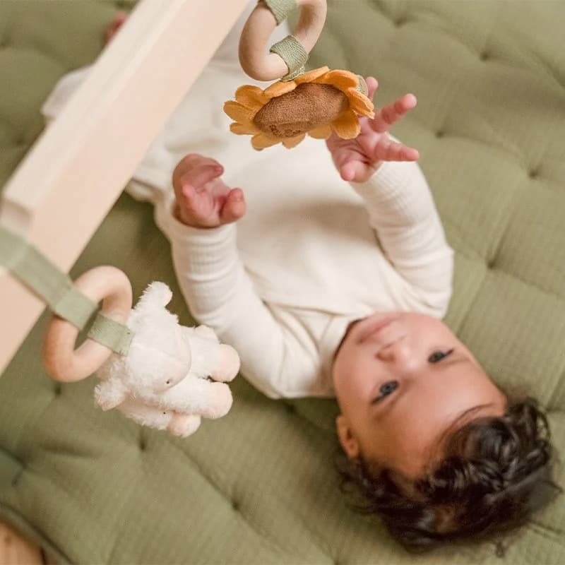 Palestra per bambini Little Farm - 4