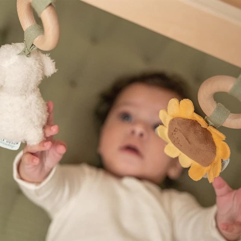 Palestra per bambini Little Farm - 5