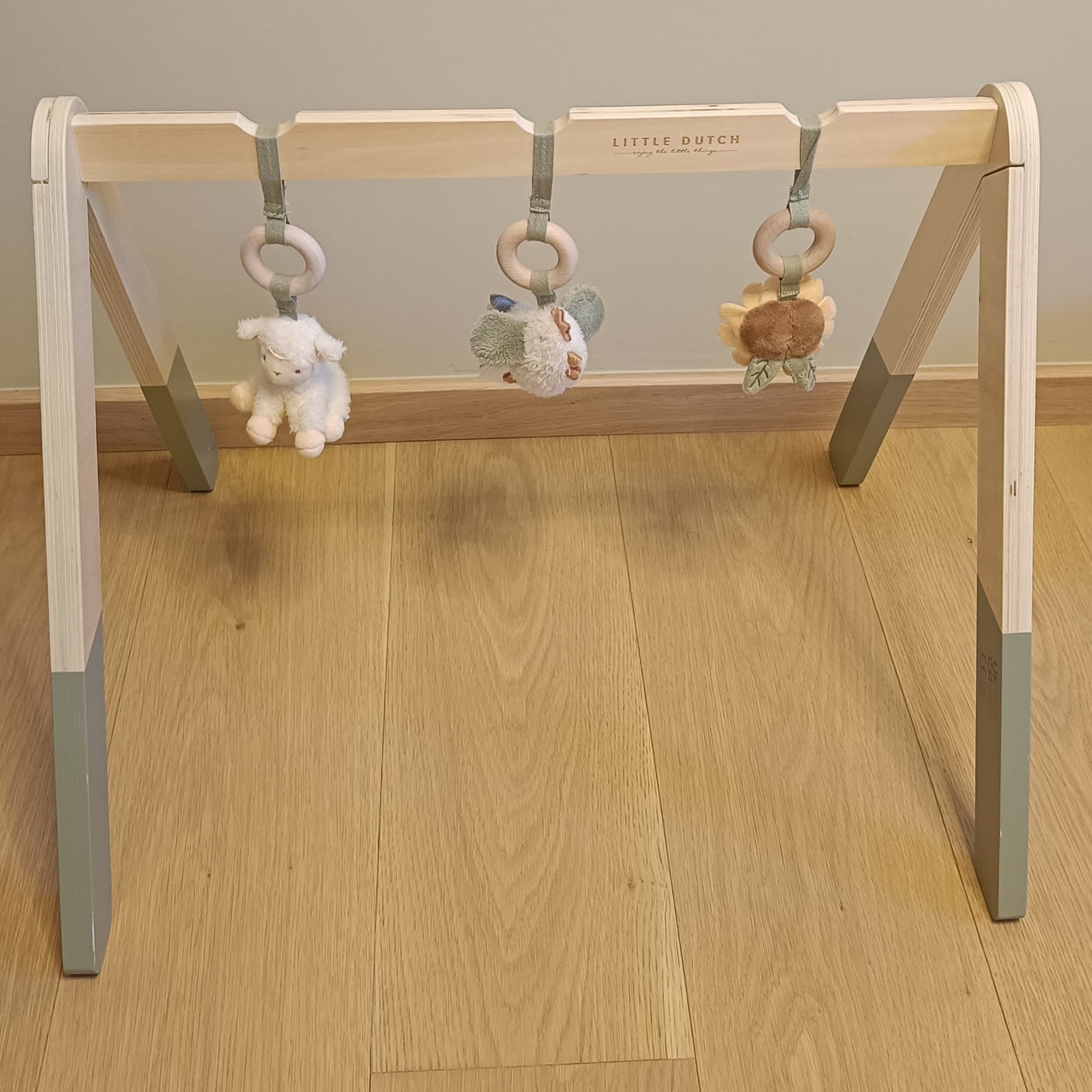 Palestra per bambini Little Farm - 2