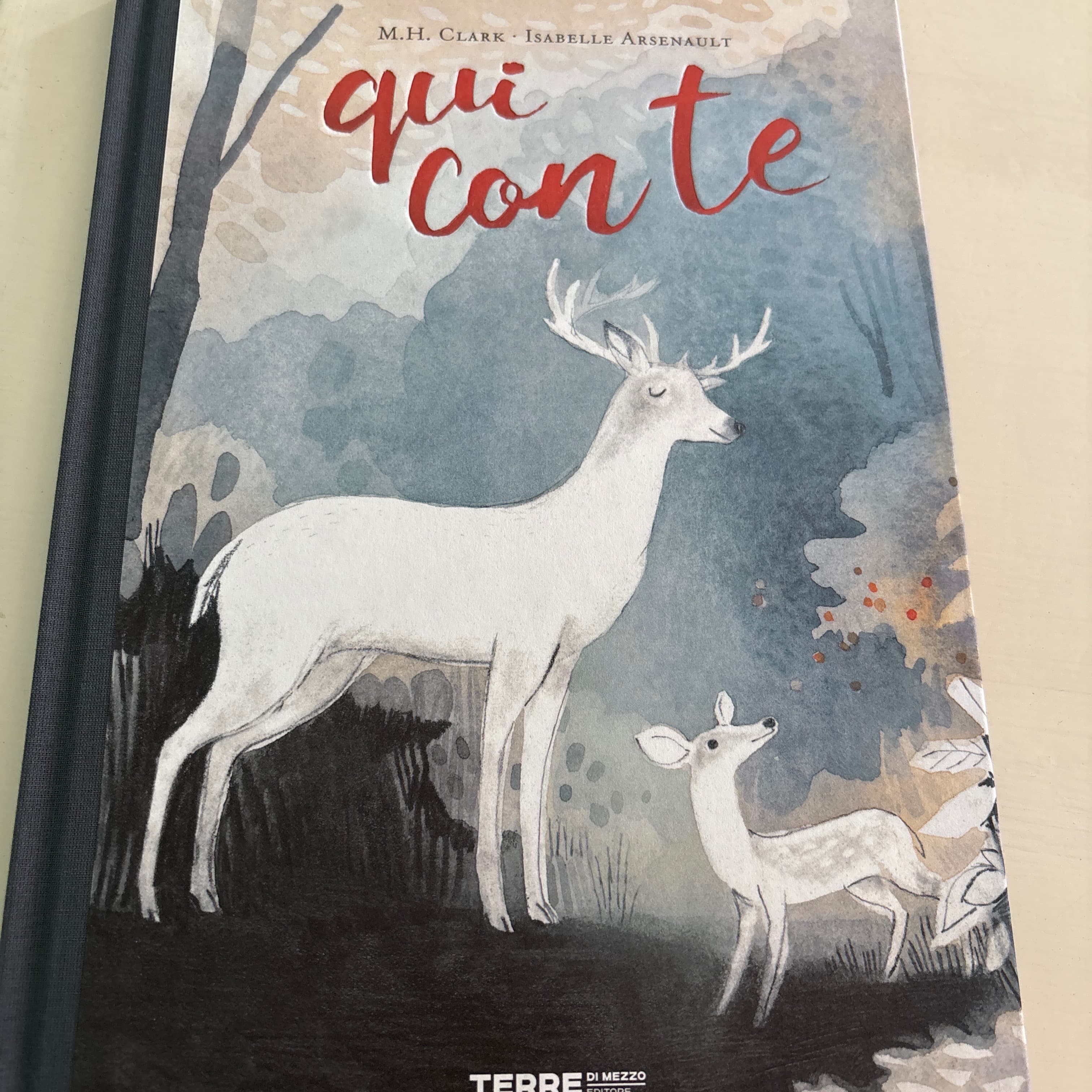 Libros ilustrados  - 4