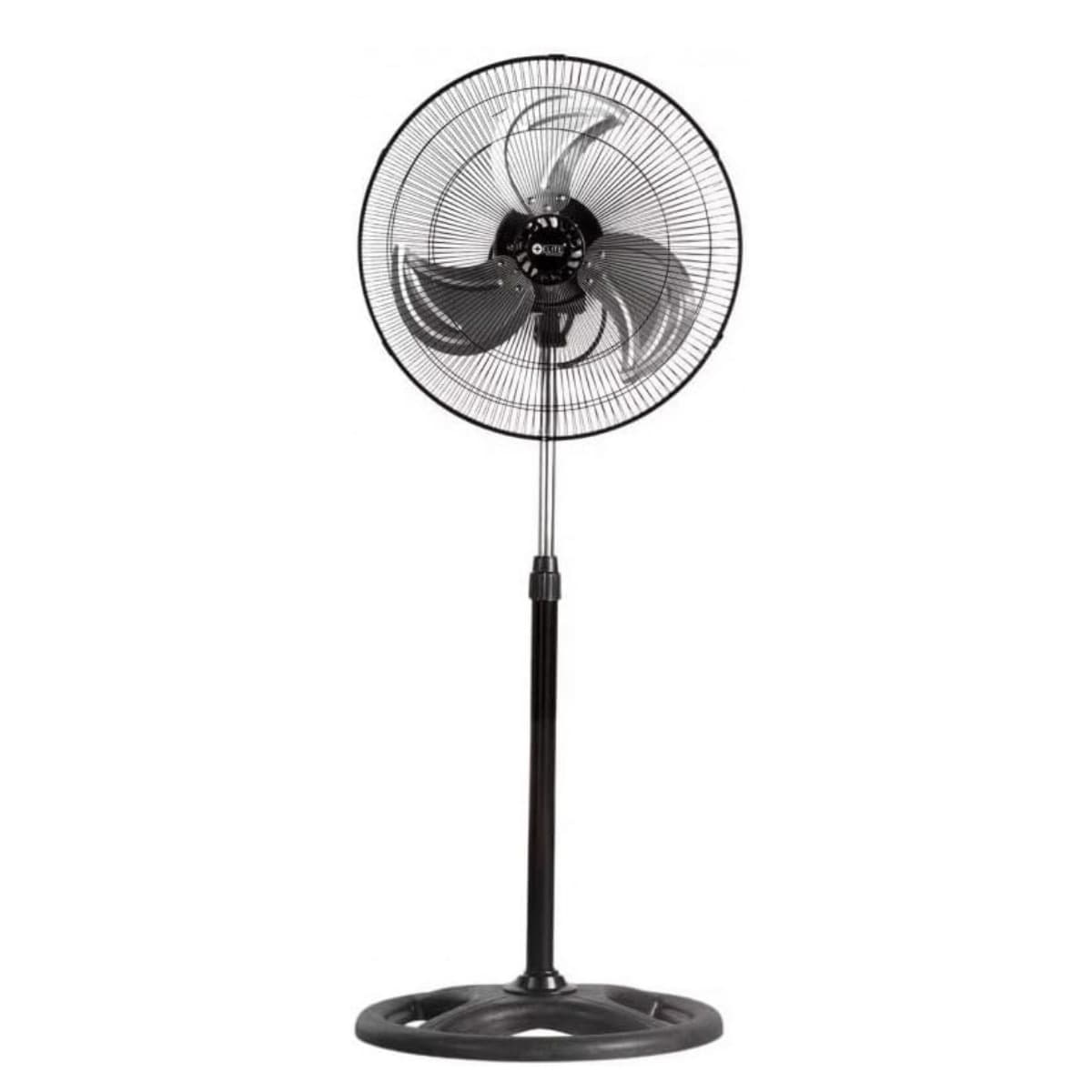 Daimi Fan