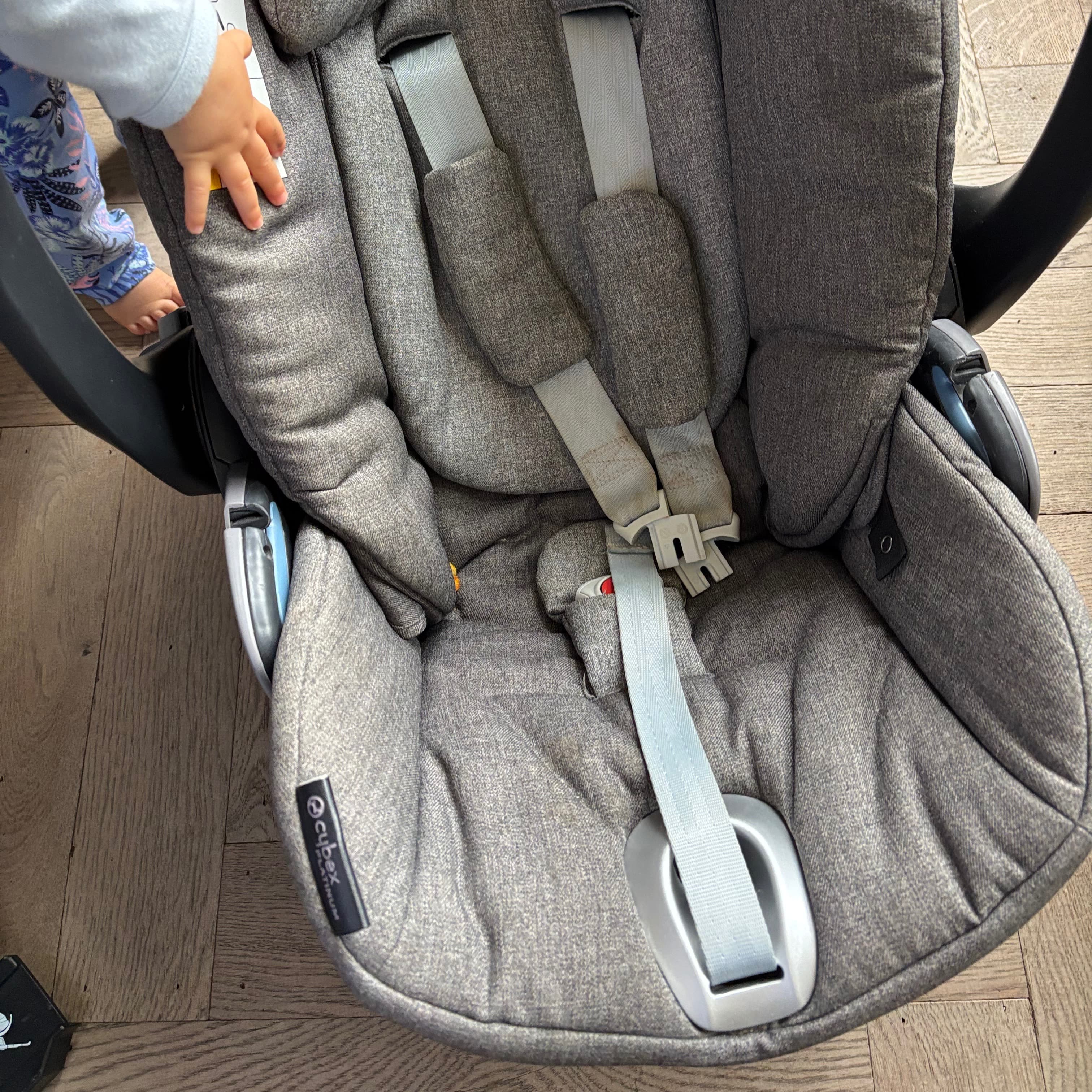 Cybex Cloud Qplus