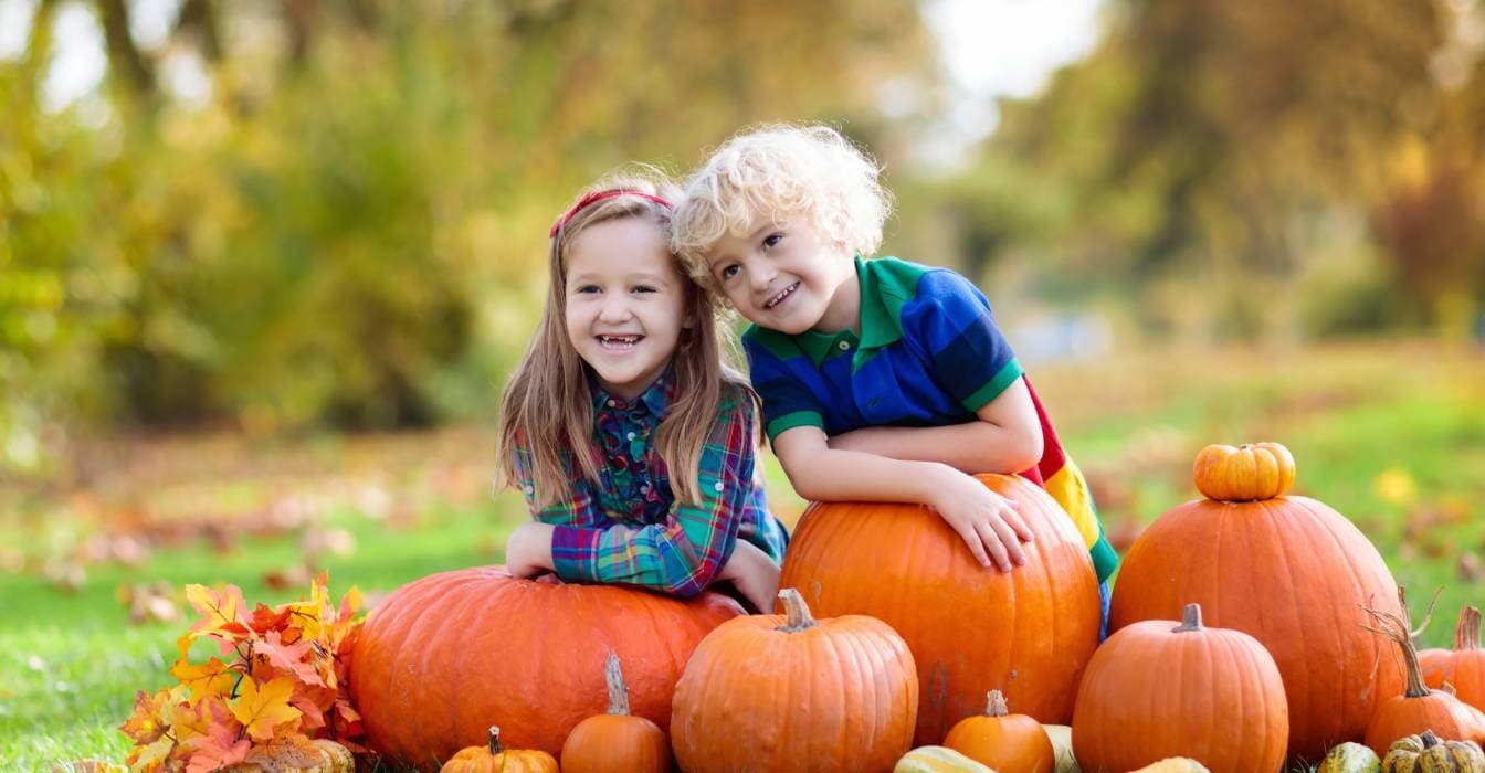Actividades Divertidas y Entretenidas con Calabazas para Niños: Guía para Padres en la Temporada de Otoño