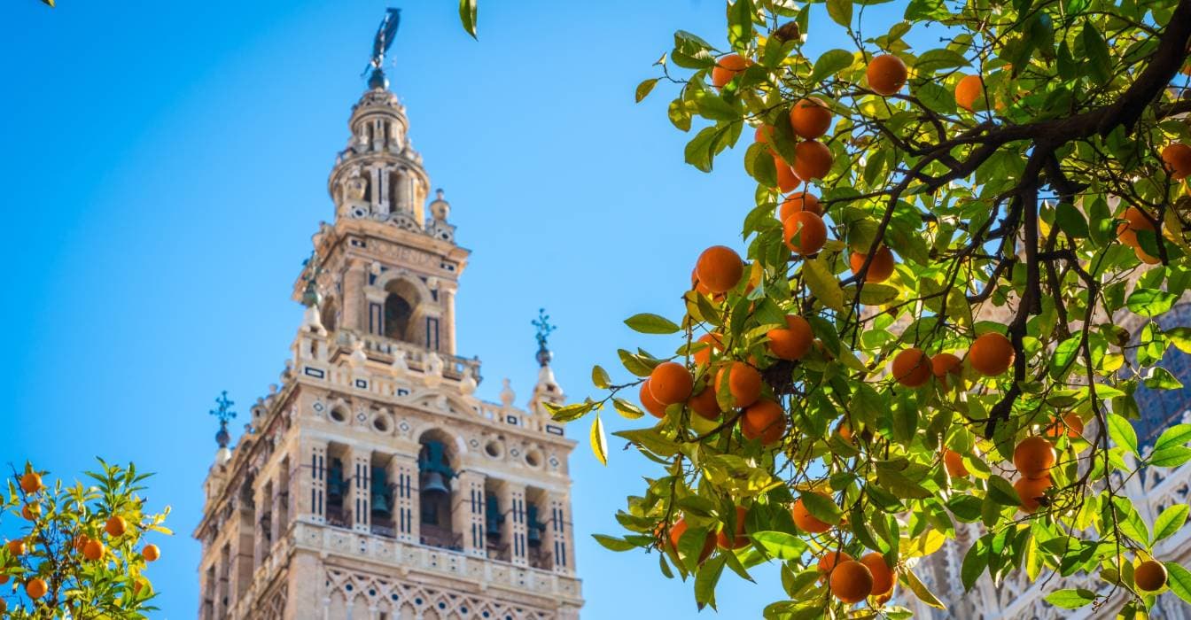 Imprescindibles en Sevilla con Niños Pequeños: Guía para Familias