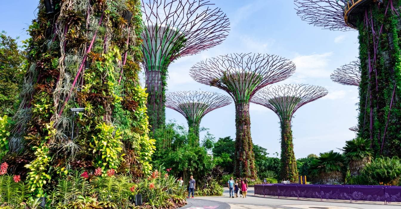 Singapur con niños: Actividades, alojamientos familiares, consejos y trucos