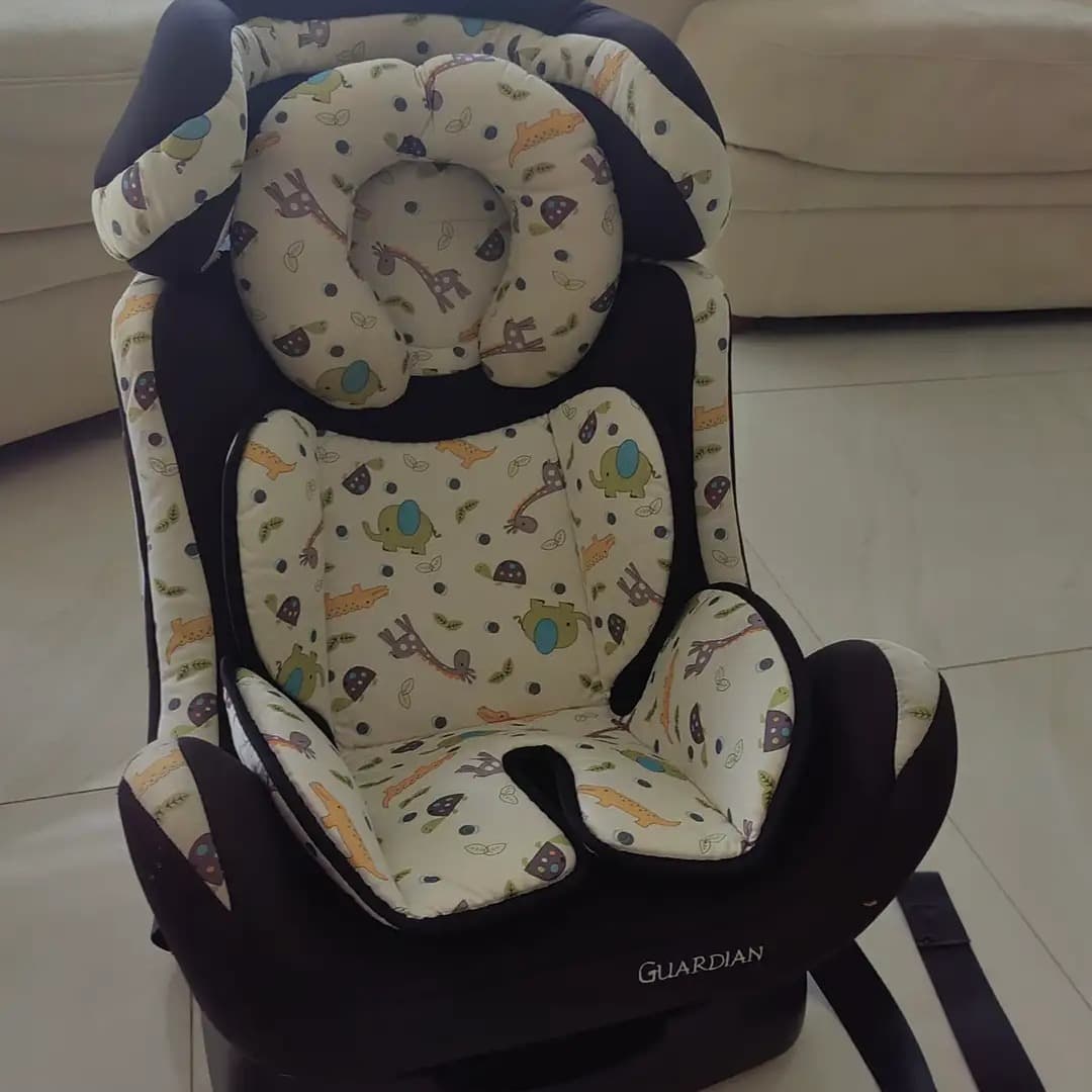 Guardian Grey, 0-25 kg - 3