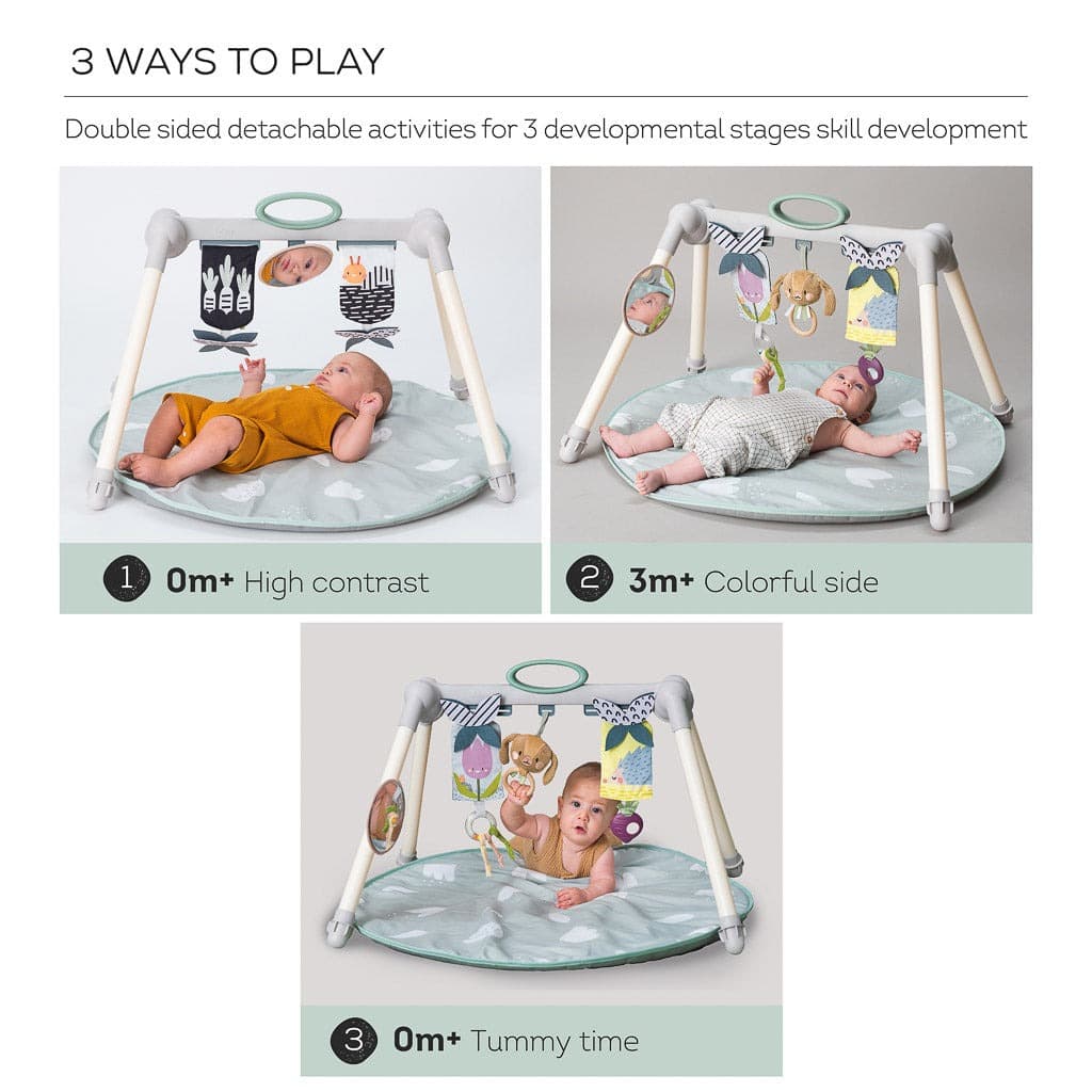 Urban Garden Foldable Gym