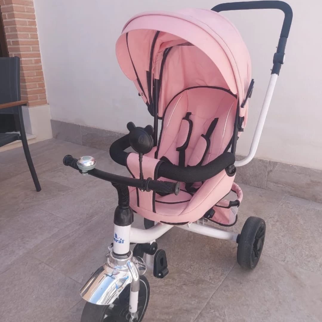 Triciclo evolutivo - 2