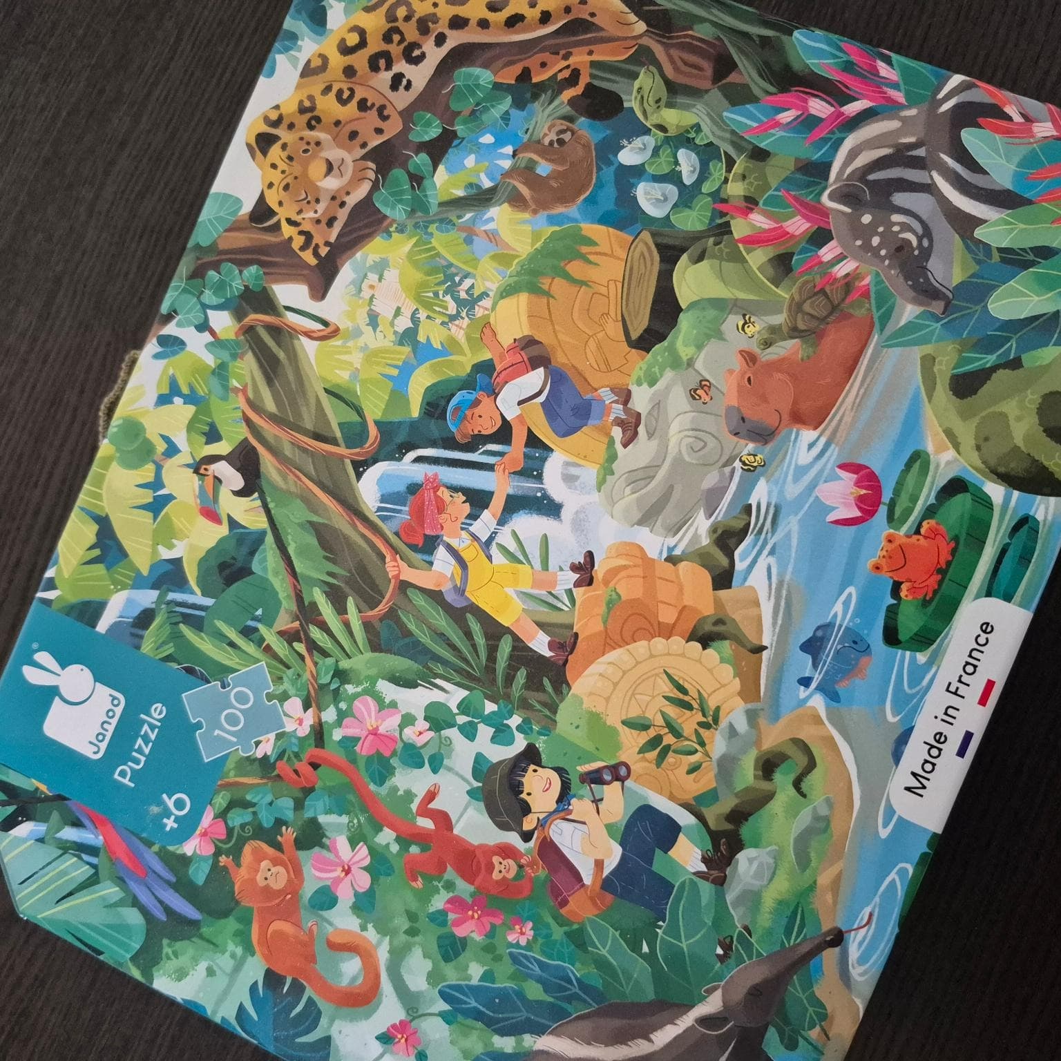 Puzzle 100 pezzi
