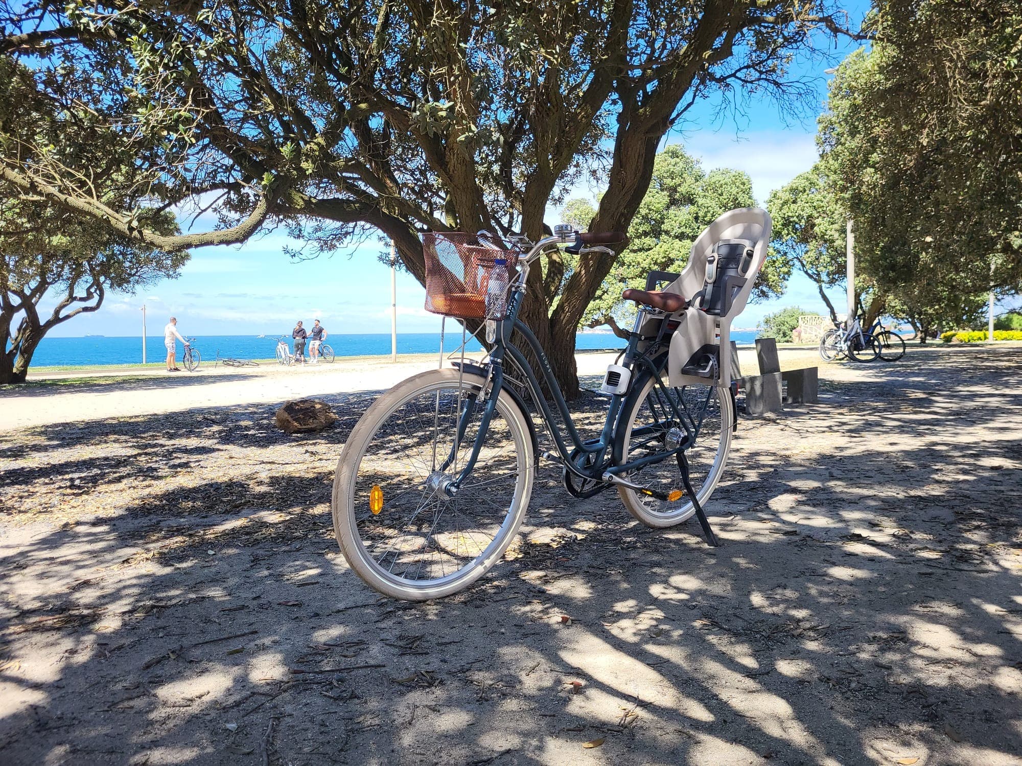 Bicicletta con seggiolino - 2