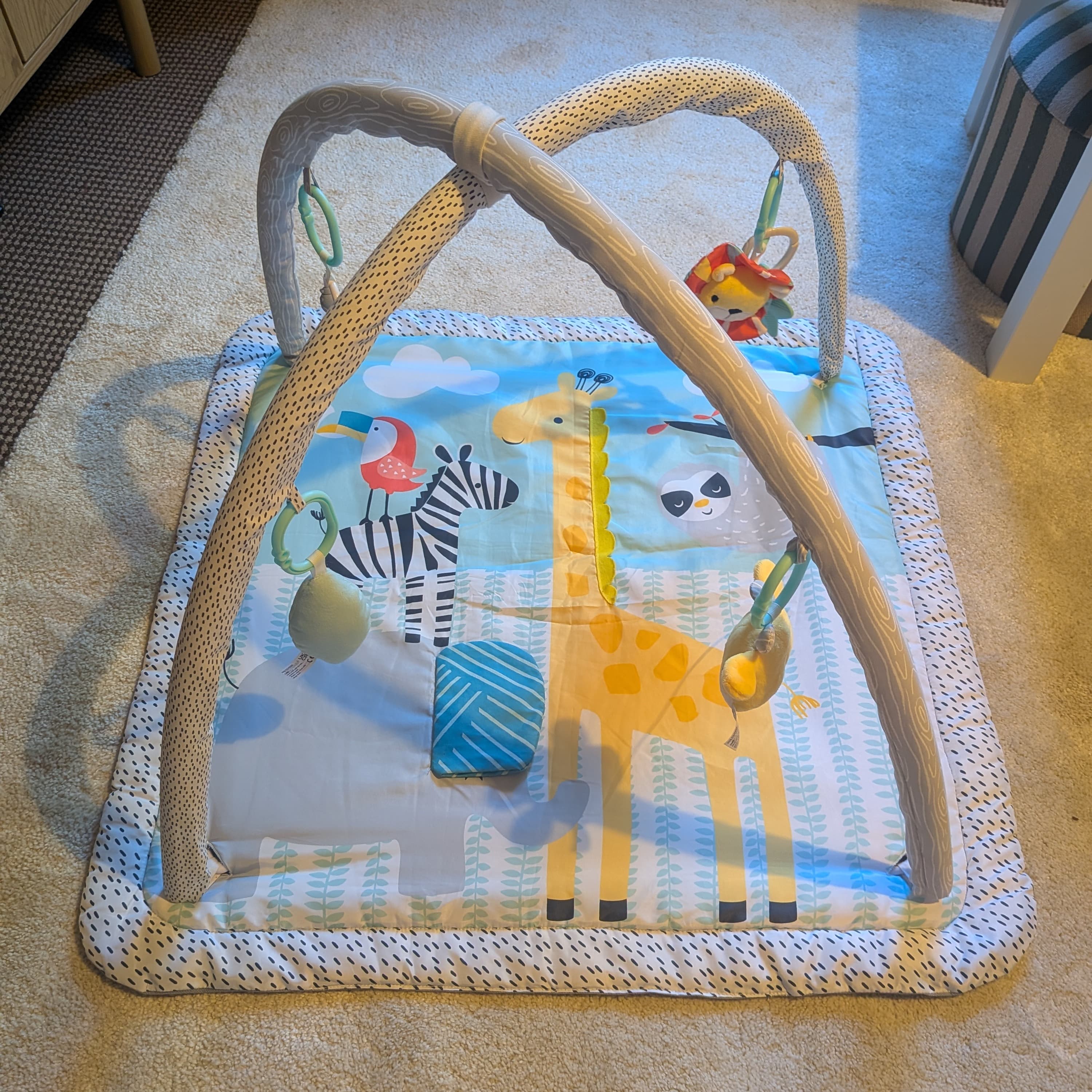 Baby Play Mat - 2