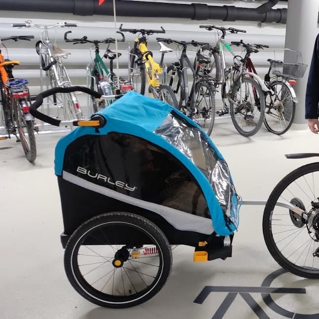 Carrito doble Burley D'Lite X - Remolque para bicicleta - 7