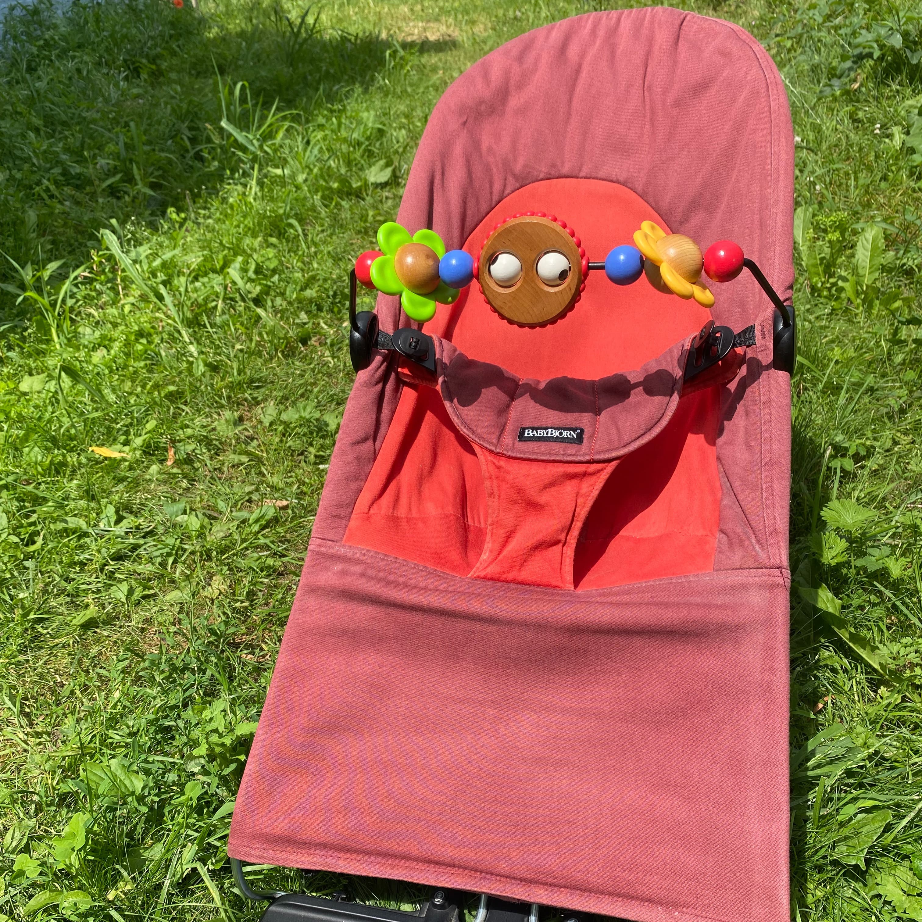 Baby Bjorn - 2