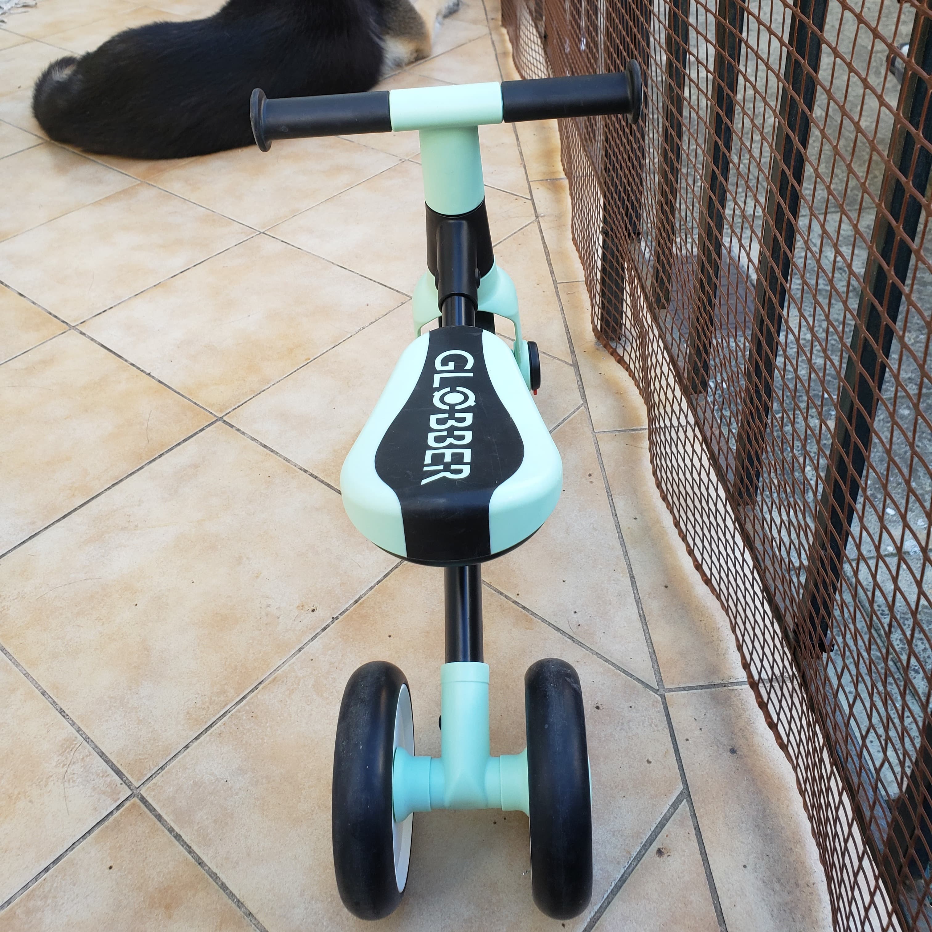 Learning bike mint - 2