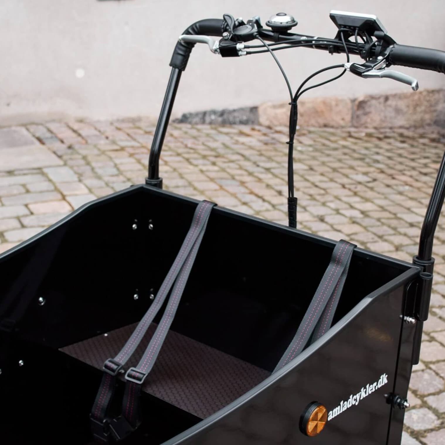 Electric cargo bike with box for 4 children - 2