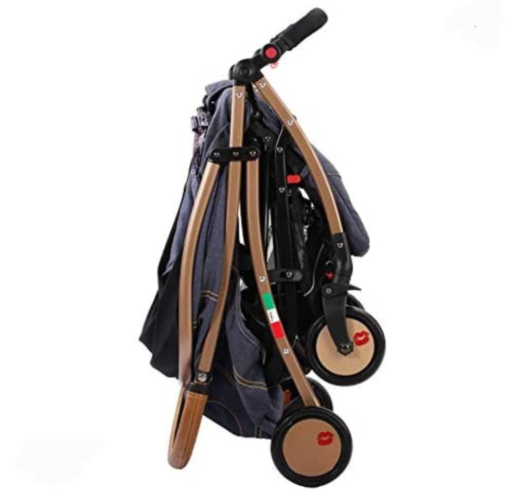 Baciuzzi Stroller - 2