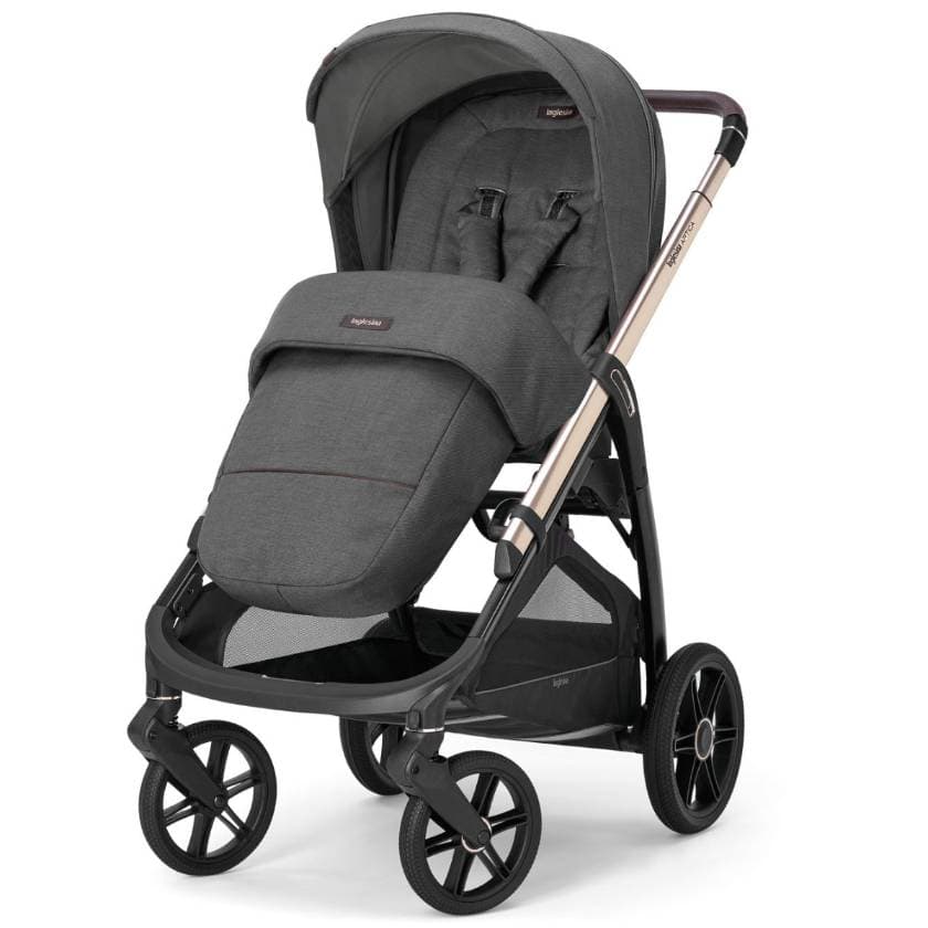 Inglesina Aptica - 1