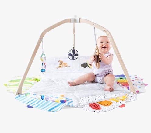 Lovevery Play Gym - 2