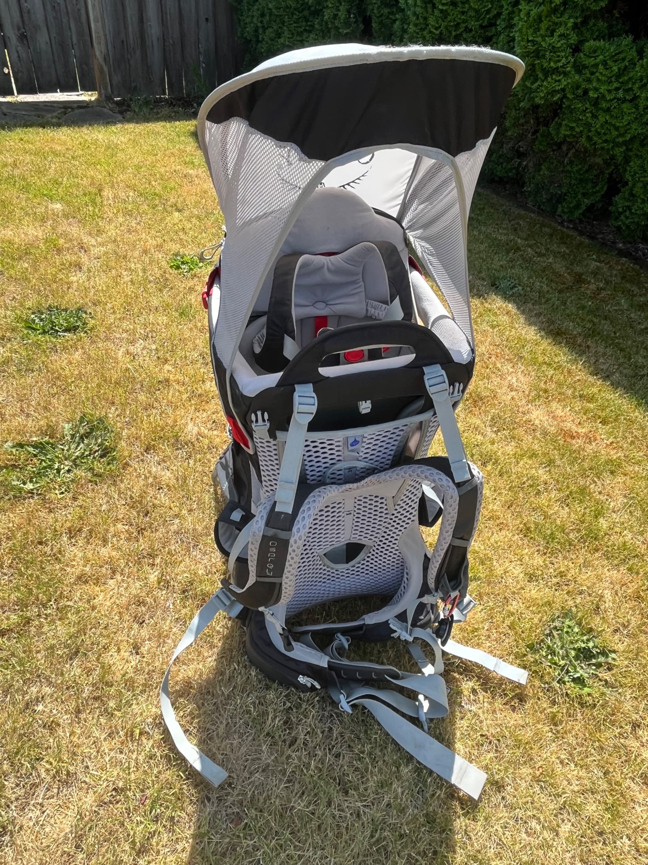 Hiking Carrier - 2
