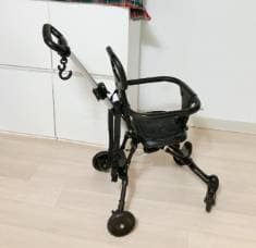 Bable Puary Trike T2 - 2